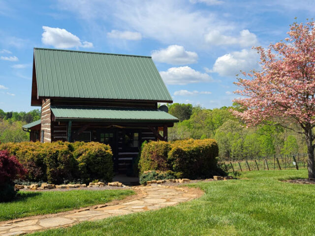 Cabin in the Vines